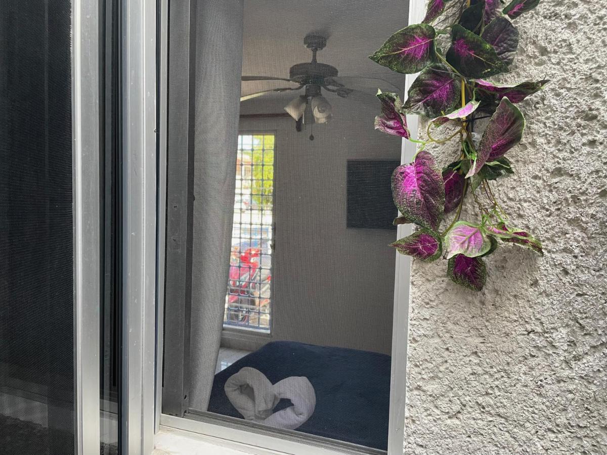 Homestay Alce33 *